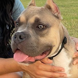 Meet your Posher, Kay